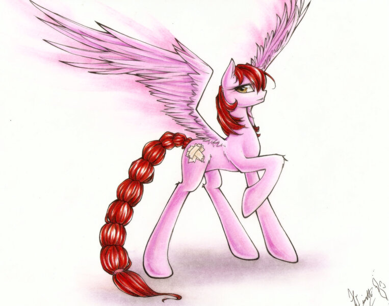 Size: 2055x1615 | Tagged: safe, artist:spidershii, derpibooru import, oc, oc:sweetcake, unofficial characters only, pegasus, pony, braid, braided tail, concave belly, female, image, jpeg, large wings, long tail, mare, pegasus oc, raised hoof, signature, slender, spread wings, tail, tall, thin, wings