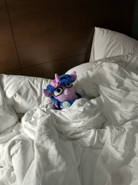 Size: 1536x2048 | Tagged: safe, artist:jargon scott, derpibooru import, twilight sparkle, earth pony, pony, unicorn, g4, bed, female, filly, filly twilight sparkle, horn, image, irl, jpeg, photo, plushie, solo, squatpony, twiggie, unicorn twilight, younger