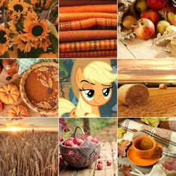 Size: 5306x5306 | Tagged: safe, derpibooru import, edit, edited screencap, screencap, applejack, earth pony, pony, g4, aesthetics, apple, apple pie, autumn, cup, flower, food, green eyes, image, jpeg, moodboard, pie, pumpkin, solo, sunflower, sunset, teacup, yellow mane