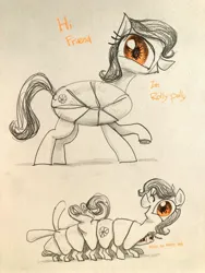 Size: 3024x4032 | Tagged: safe, artist:ja0822ck, derpibooru import, oc, ponified, unofficial characters only, bug pony, insect, pony, female, image, jpeg, mare, multiple limbs, pillbug, traditional art