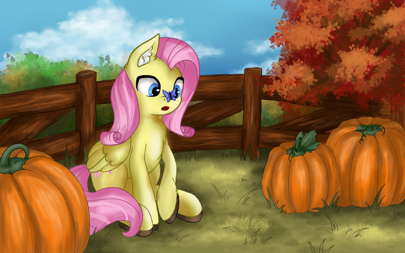 Size: 1729x1080 | Tagged: safe, artist:flower9898, derpibooru import, fluttershy, butterfly, insect, pegasus, pony, g4, :o, autumn, blue eyes, bush, butterfly on nose, chest fluff, cute, ear fluff, female, fence, hock fluff, image, insect on nose, mare, open mouth, outdoors, png, pumpkin, raised hoof, shyabetes, sitting, solo, tree, wrong eye color