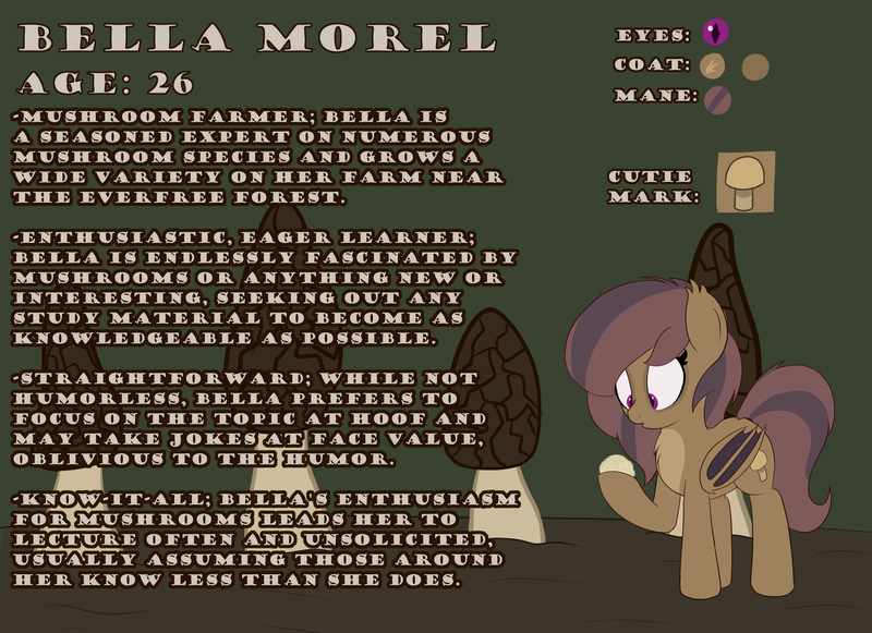 Size: 3290x2389 | Tagged: safe, artist:jerkface, derpibooru import, oc, unofficial characters only, bat pony, pony, bat pony oc, bat wings, image, png, reference sheet, solo, wings