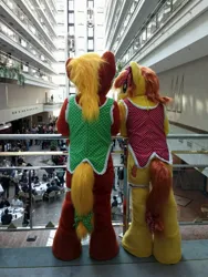 Size: 675x900 | Tagged: safe, artist:atalonthedeer, derpibooru import, oc, oc:canni soda, unofficial characters only, 2012, building, crowd, duo focus, eurofurence, image, indoors, irl, jpeg, photo, rear view