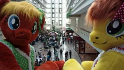 Size: 1200x675 | Tagged: safe, artist:atalonthedeer, derpibooru import, oc, oc:canni soda, unofficial characters only, 2012, building, crowd, duo focus, eurofurence, image, indoors, irl, jpeg, looking at you, looking back, looking back at you, photo