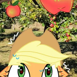 Size: 1000x1000 | Tagged: safe, artist:0liiver, derpibooru import, applejack, earth pony, pony, apple, food, image, irl, photo, png, solo