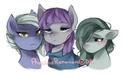 Size: 1350x850 | Tagged: safe, artist:phasilicrenavon, derpibooru import, limestone pie, marble pie, maud pie, earth pony, pony, g4, blushing, female, image, jpeg, mare, pie sisters, siblings, sisters, trio