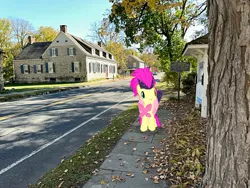 Size: 2016x1512 | Tagged: safe, derpibooru import, fluttershy, g4, hurley, image, jpeg, new york