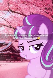 Size: 1622x2388 | Tagged: safe, artist:cezaryy, artist:trrrebleee, derpibooru import, edit, vector edit, starlight glimmer, pony, unicorn, g4, caption, cherry blossoms, female, flower, flower blossom, horn, image, japan, mare, meme, png, real life background, s5 starlight, snapchat, solo, text, vector