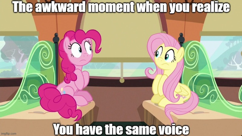 Size: 888x499 | Tagged: safe, derpibooru import, edit, edited screencap, screencap, fluttershy, pinkie pie, earth pony, pegasus, pony, g4, andrea libman, awkward moment, caption, duo, female, image, jpeg, looking at each other, looking at someone, meme, my little pony, sitting, text, train, voice actor joke