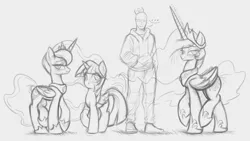 Size: 4349x2455 | Tagged: safe, artist:maretheory.exe, derpibooru import, princess celestia, princess luna, twilight sparkle, oc, oc:anon, alicorn, human, pony, blushing, female, grayscale, horn, image, long horn, looking up, male, mare, monochrome, nervous, png, simple background, smug, white background