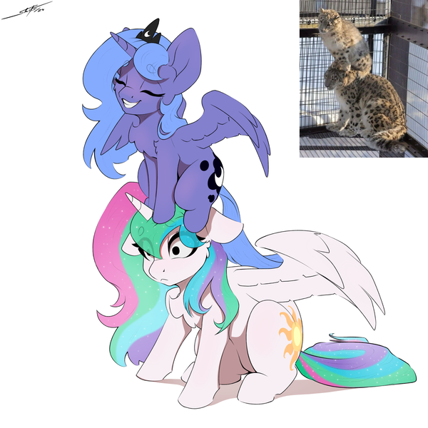 Size: 3000x3000 | Tagged: safe, artist:skitsniga, derpibooru import, princess celestia, princess luna, alicorn, pony, g4, behaving like a cat, chest fluff, duo, duo female, eye clipping through hair, eyebrows, eyebrows visible through hair, eyes closed, female, floppy ears, grin, high res, image, mare, partially open wings, png, ponified animal photo, royal sisters, s1 luna, siblings, simple background, sisters, smiling, white background, wings