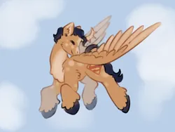 Size: 3000x2250 | Tagged: safe, artist:hederacea, derpibooru import, ponified, alicorn, pony, clark kent, cloud, dc comics, flying, image, png, realistic wings, solo, superhero, superman, unshorn fetlocks, wings