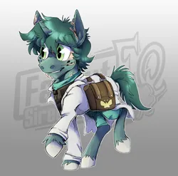 Size: 1820x1800 | Tagged: safe, artist:hallowraith, derpibooru import, oc, oc:stitches, oc:stitches (sireland), unofficial characters only, unicorn, fallout equestria, bag, clothes, doctor, doctors coat, fallout equestria oc, fallout equestria: sireland, horn, image, medic, png, saddle bag, scar, scrubs (gear), solo