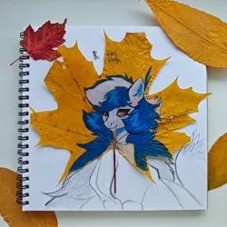 Size: 2560x2560 | Tagged: safe, artist:raychelrage, derpibooru import, oc, oc:rachel rage, unofficial characters only, pegasus, pony, autumn leaves, bust, high res, image, jpeg, leaf, leaves, mixed media, solo, traditional art