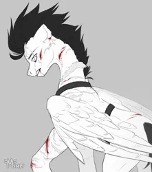 Size: 3100x3500 | Tagged: semi-grimdark, artist:miurimau, derpibooru import, oc, oc:zweihander blood, unofficial characters only, pegasus, pony, blood, image, injured, looking back, male, png, scar, solo, wings