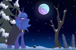 Size: 3760x2500 | Tagged: safe, artist:gaiusmaximiliano, derpibooru import, princess luna, alicorn, pony, alternate universe, cloak, clothes, crown, image, jewelry, mare in the moon, moon, night, png, regalia, s1 luna, sad, show accurate, snow, solo, stars