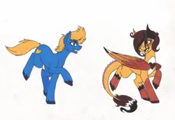 Size: 1953x1341 | Tagged: safe, artist:tazzy-girl, derpibooru import, oc, oc:sun blitz, unofficial characters only, dracony, dragon, hybrid, pony, female, image, jpeg, male, stallion, traditional art