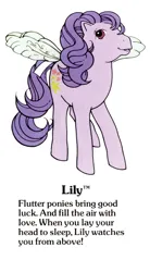 Size: 550x1000 | Tagged: safe, derpibooru import, official, lily (g1), flutter pony, pegasus, pony, g1, bow, cute, female, g1 backstory, g1 lilybetes, image, jpeg, mare, my little pony fact file, open mouth, open smile, smiling, solo, tail, tail bow, text