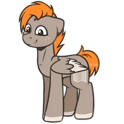 Size: 2000x2000 | Tagged: safe, artist:jellysiek, derpibooru import, oc, oc:carmel, unofficial characters only, pegasus, pony, cute, folded wings, freckles, high res, image, looking at you, male, pegasus oc, png, simple background, smiling, smiling at you, solo, stallion, white background, wings