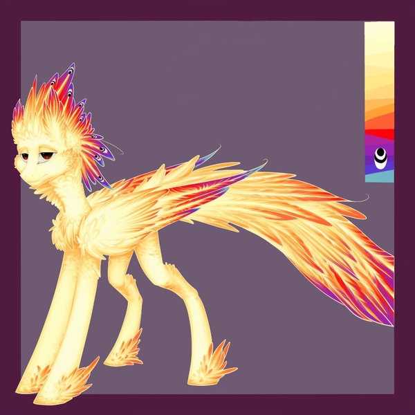 Size: 1024x1024 | Tagged: safe, artist:yanisfucker, derpibooru import, oc, unofficial characters only, pegasus, pony, chest fluff, feathered fetlocks, feathered mane, feathered tail, image, jpeg, passepartout, reference sheet, solo