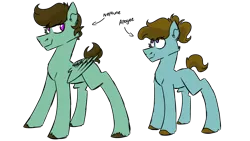 Size: 1280x720 | Tagged: safe, artist:fuckomcfuck, derpibooru import, oc, oc:apogee, oc:neptune, unofficial characters only, earth pony, pegasus, pony, freckles, image, parent:oc:doodles, parent:oc:joystick, pigtails, png, simple background, transparent background