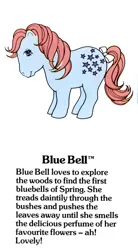 Size: 550x1000 | Tagged: safe, derpibooru import, official, blue belle, earth pony, pony, g1, bluebellebetes, bow, closed mouth, cute, female, g1 backstory, image, jpeg, mare, my little pony fact file, open mouth, open smile, smiling, solo, tail, tail bow, text