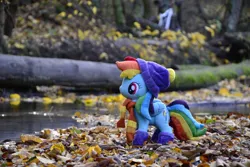 Size: 1095x730 | Tagged: safe, artist:mgrdash, derpibooru import, rainbow dash, pegasus, pony, image, irl, jpeg, photo, plushie, ponies in real life