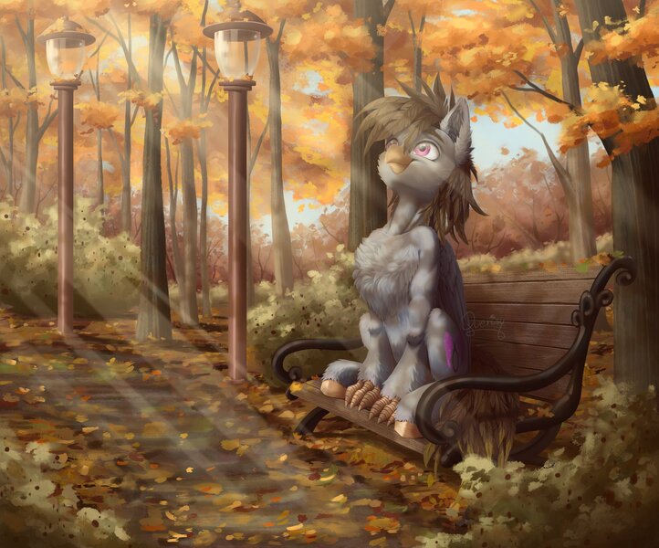 Size: 2048x1703 | Tagged: safe, artist:querisyart, derpibooru import, oc, oc:luxor, unofficial characters only, classical hippogriff, hippogriff, autumn, bench, chest fluff, crepuscular rays, digital art, hippogriff oc, image, jpeg, leaves, outdoors, sitting, solo, streetlight, tree