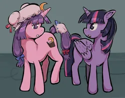 Size: 1998x1571 | Tagged: safe, artist:sacredslime, derpibooru import, twilight sparkle, twilight sparkle (alicorn), ponified, alicorn, pony, unicorn, crossover, duo, duo female, female, horn, image, mare, patchouli knowledge, png, touhou, twichouli