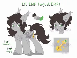 Size: 2416x1836 | Tagged: safe, artist:lil_chif, derpibooru import, oc, oc:lilchif, unofficial characters only, bat pony, cutie mark, image, jpeg, obtrusive watermark, reference, reference sheet, simple background, watermark, white background