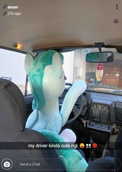 Size: 2911x4080 | Tagged: safe, artist:epicrainbowcrafts, derpibooru import, spring melody, sprinkle medley, pegasus, pony, g4, car, car interior, clothes, driving, female, image, irl, jpeg, life size, mare, meme, photo, plushie, sitting, skoda, snapchat, socks