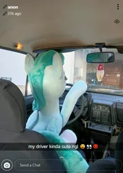 Size: 2911x4080 | Tagged: safe, artist:epicrainbowcrafts, derpibooru import, spring melody, sprinkle medley, pegasus, pony, g4, car, car interior, clothes, driving, female, image, irl, jpeg, life size, mare, meme, photo, plushie, sitting, skoda, snapchat, socks