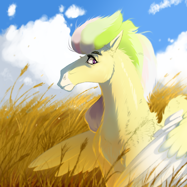 Size: 4000x4000 | Tagged: safe, artist:whitearbalest, derpibooru import, oc, oc:apple jam, unofficial characters only, pegasus, pony, cloud, derpibooru exclusive, field, image, male, png, solo