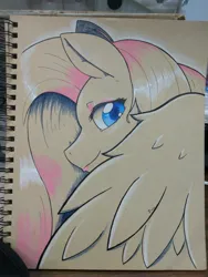 Size: 3120x4160 | Tagged: safe, artist:edgarkingmaker, derpibooru import, fluttershy, pegasus, colored pencils, etsy, female, image, jpeg, photo, solo