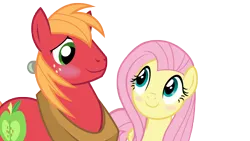 Size: 8000x4500 | Tagged: safe, anonymous artist, derpibooru import, big macintosh, fluttershy, earth pony, pegasus, pony, brotherhooves social, g4, absurd resolution, blushing, duo, duo male and female, female, fluttermac, image, looking at each other, looking at someone, male, mare, my little pony, png, shipping, simple background, smiling, smiling at each other, stallion, straight, transparent background, vector