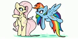 Size: 3629x1815 | Tagged: safe, artist:kindakismet, derpibooru import, fluttershy, rainbow dash, pegasus, pony, g4, bipedal, duo, flying, image, jpeg, simple background, white background