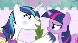 Size: 1280x718 | Tagged: safe, derpibooru import, edit, edited screencap, screencap, shining armor, twilight sparkle, g4, blushing, brother and sister, female, image, incest, infidelity, male, png, ship:shiningsparkle, shipping, siblings, straight, twicest
