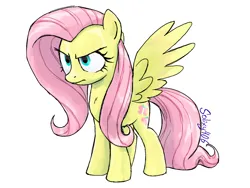 Size: 800x600 | Tagged: safe, artist:solixy406, derpibooru import, fluttershy, pegasus, pony, g4, fluttershy is not amused, image, png, simple background, solo, unamused, white background