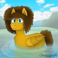 Size: 2048x2048 | Tagged: safe, derpibooru import, oc, oc:curly, unofficial characters only, bird, duck, pegasus, pony, cloud, curly mane, detailed background, digital art, flock, folded wings, gift art, image, male, png, silly, stallion, water, wings