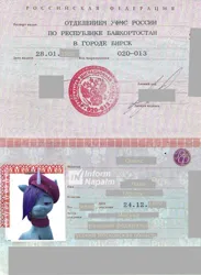 Size: 862x1175 | Tagged: safe, derpibooru import, edit, edited edit, onyx, unicorn, g5, my little pony: a new generation, my little pony: make your mark, beret, censored, clothes, cyrillic, hat, horn, image, jpeg, passport, russia, russian, scarf