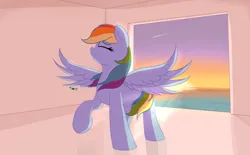 Size: 3447x2138 | Tagged: safe, artist:ricy, ponerpics import, rainbow dash, bird, pegasus, pony, seagull, eyes closed, female, image, mare, ocean, png, shooting star, smiling, solo, spread wings, sunset, wings