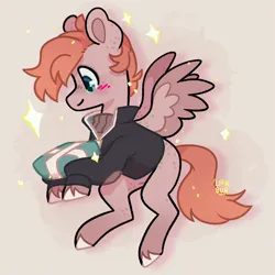 Size: 2500x2500 | Tagged: safe, artist:lionbun, derpibooru import, oc, oc:jarvis yarbrough, pegasus, pony, chibi, cute, image, male, pegasus oc, png, present, stallion, wings