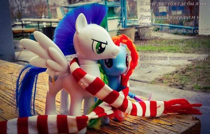 Size: 720x460 | Tagged: safe, derpibooru import, rainbow dash, soarin', pegasus, pony, clothes, female, image, jpeg, male, mare, scarf, shipping, soarindash, stallion, straight, toy