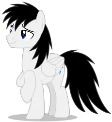 Size: 5484x5934 | Tagged: safe, artist:creedyboy124, derpibooru import, oc, oc:shane park, unofficial characters only, pegasus, pony, handsome, image, male, pegasus oc, png, simple background, stallion, stallion oc, wings