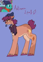 Size: 1431x2048 | Tagged: safe, artist:whimday, derpibooru import, autumn leaf, earth pony, pony, g4, alternate design, beanie, clothes, hat, image, jpeg, male, scarf, screencap reference, solo, stallion, unshorn fetlocks