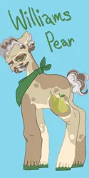 Size: 513x1024 | Tagged: safe, artist:whimday, derpibooru import, grand pear, earth pony, pony, g4, alternate design, alternate name, image, jpeg, male, neckerchief, solo, stallion, unshorn fetlocks