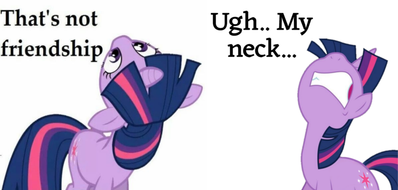 Size: 3464x1656 | Tagged: safe, artist:vesteffi, derpibooru import, twilight sparkle, pony, unicorn, derpibooru, anti-humor, female, friendship, funny, horn, image, mare, meme, meta, neck, png, reality ensues, tags