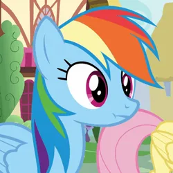 Size: 498x498 | Tagged: episode needed, safe, derpibooru import, screencap, fluttershy, rainbow dash, pegasus, pony, g4, cropped, image, png, solo