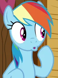 Size: 450x600 | Tagged: episode needed, safe, derpibooru import, screencap, rainbow dash, pegasus, pony, g4, cropped, image, png, poggers, solo