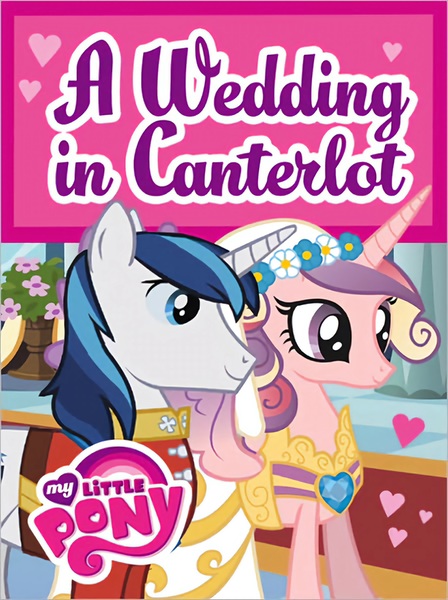 Size: 1792x2400 | Tagged: safe, banned from derpibooru, derpibooru import, princess cadance, shining armor, alicorn, pony, unicorn, a canterlot wedding, g4, a wedding in canterlot, book, bracelet, broken image, duo, duo male and female, female, flower, heart, horn, image, irl, jewelry, jpeg, male, merchandise, my little pony, photo